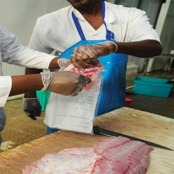 Surveillance Bioalimentaire